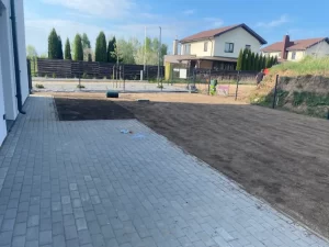 Vejos sėjimas