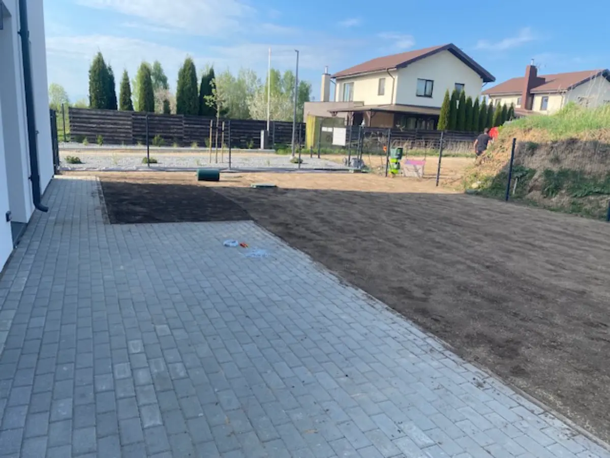 Vejos sėjimas