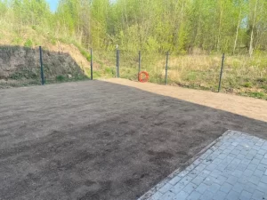 Vejos sėjimas