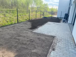 Vejos sėjimas