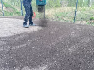 Vejos sėjimas