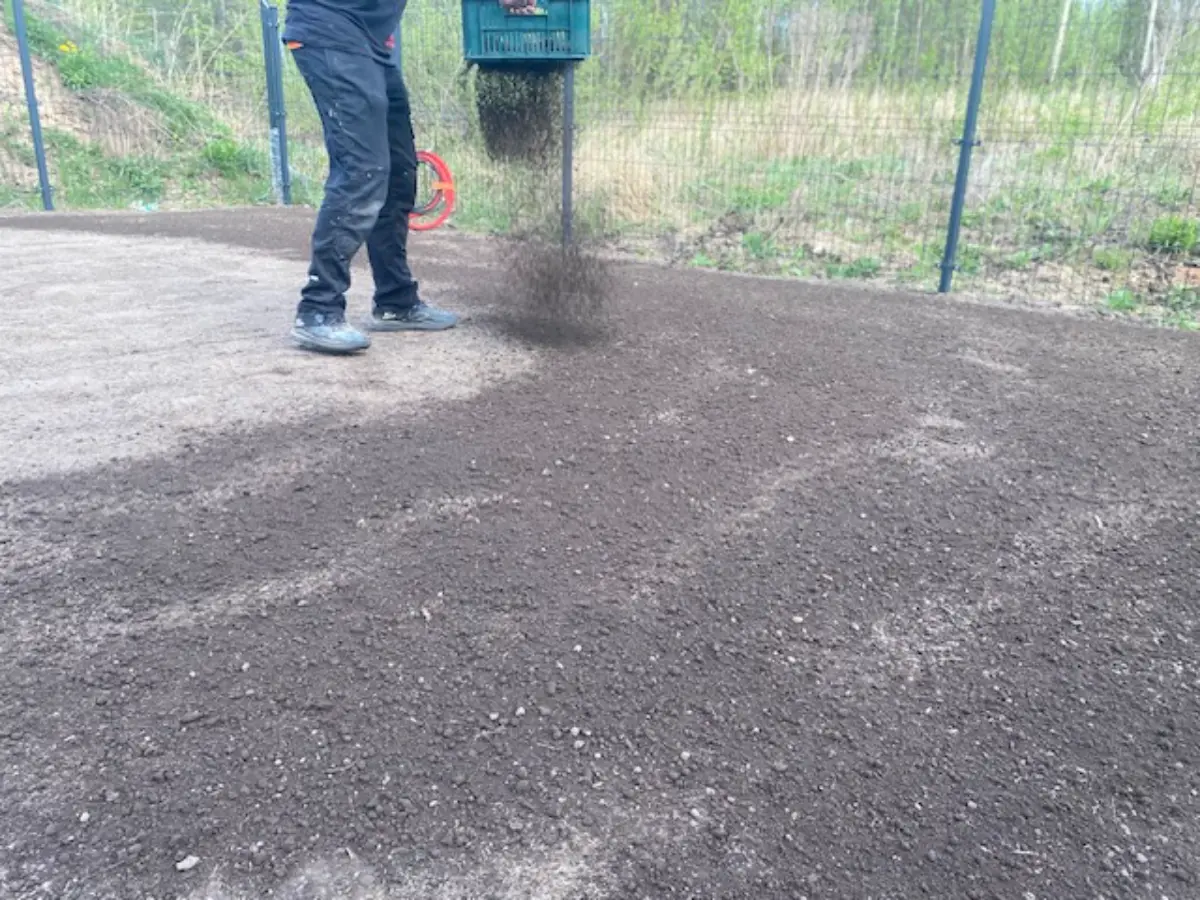 Vejos sėjimas