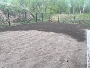 Vejos sėjimas