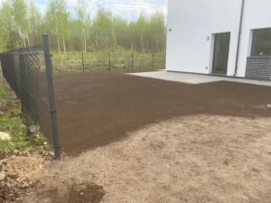 Vejos sėjimas