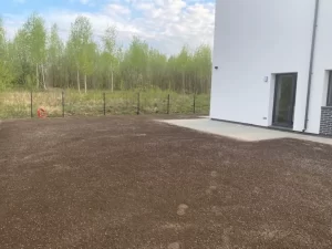 Vejos sėjimas