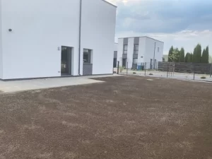 Vejos sėjimas