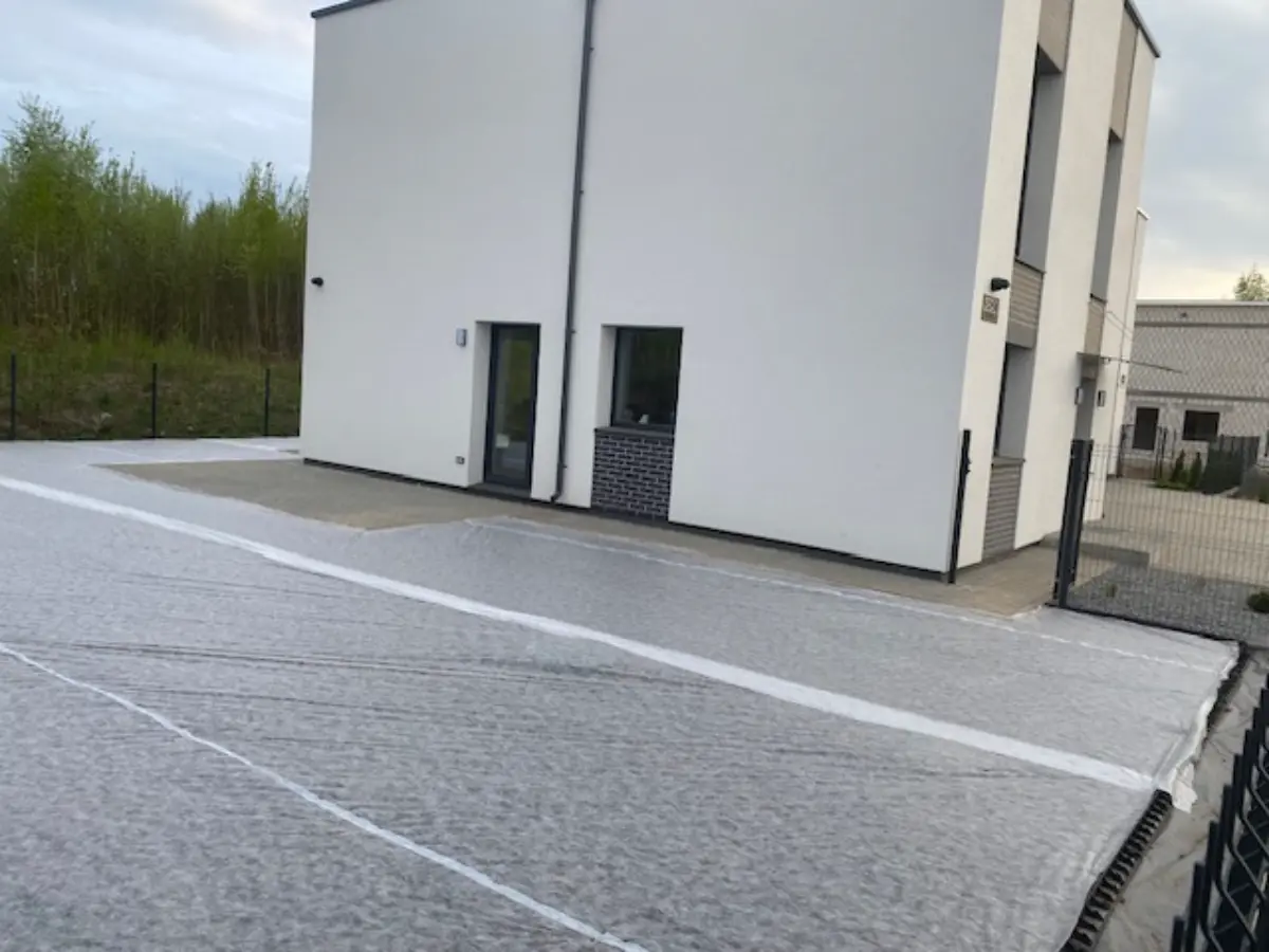 Vejos sėjimas