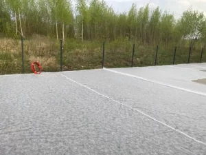 Vejos sėjimas
