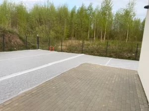 Vejos sėjimas