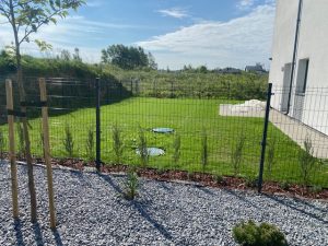 Veja po agro plėvelės nuėmimo