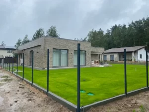 Rezultatas sudygusi veja