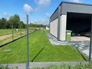 Sudygusi veja po mėnesio