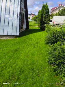 Sudygusi veja po 4 savaičių