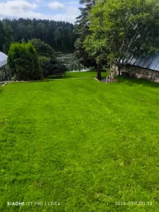 Sudygusi veja po 4 savaičių